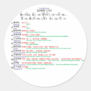 Adesivo Redondo Nervos cranianos japoneses 12