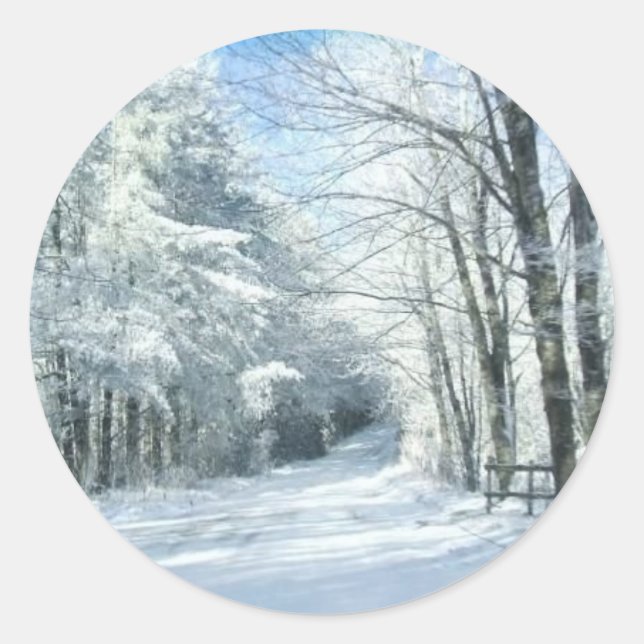 Adesivo Redondo Neve (Frente)