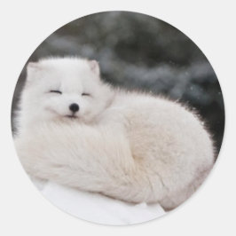 Adesivo Redondo neve inverno inverno gelo congelado neve gelo Árti