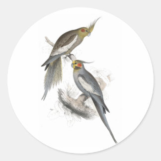 Adesivo Redondo New Holland Parrakeet por Edward Lear