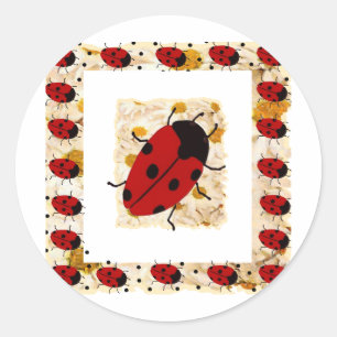 Adesivo Redondo New Lady Bugs