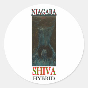 ADESIVO REDONDO NIAGARA SHIVA HÍBRIDO