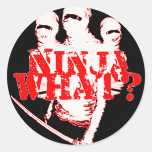 ADESIVO REDONDO NINJA QUE?