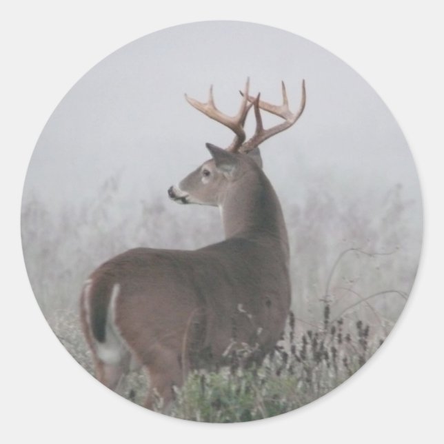 Adesivo Redondo nódoa (Frente)