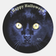 Noite de horror de gato preto assustador do Hallow