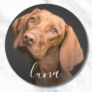 Adesivo Redondo Nome Personalizado de Pet de Fotografia
