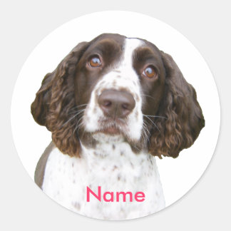 Adesivo Redondo Nome personalizado - Inglês Springer Spaniel Stick