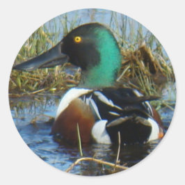 Adesivo Redondo Norte B25