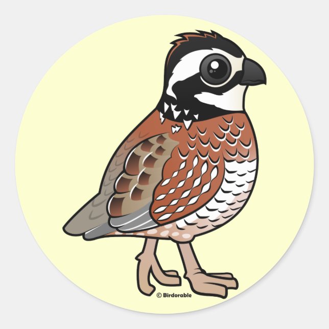 Adesivo Redondo Norte Bobwhite (Frente)