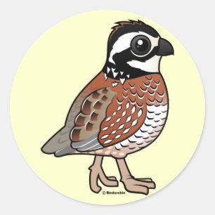 Adesivo Redondo Norte Bobwhite