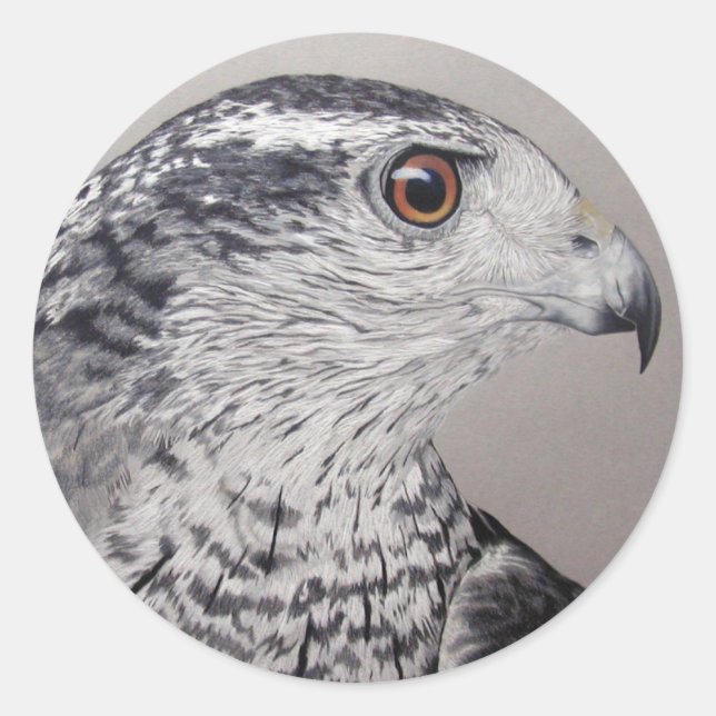 Adesivo Redondo Norte Goshawk (Frente)