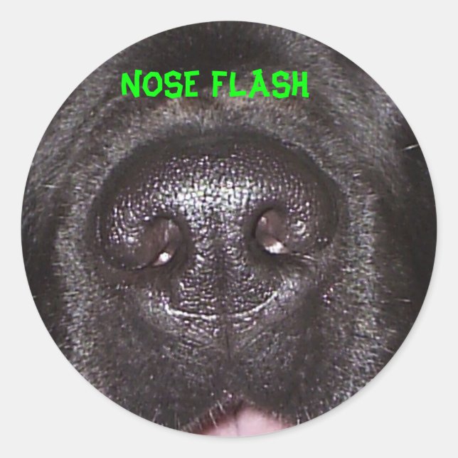 ADESIVO REDONDO NOSE FLASH (Frente)