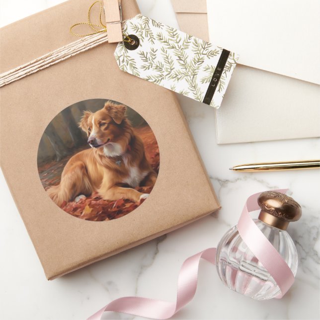 Adesivo Redondo Nova Escócia Duck Terrier no outono deixa cair (Presentear)