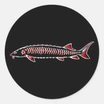 Novo nativo - Sturgeon branco