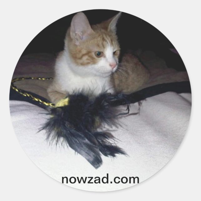 Adesivo Redondo Nowzad Pablo Sticker (Frente)