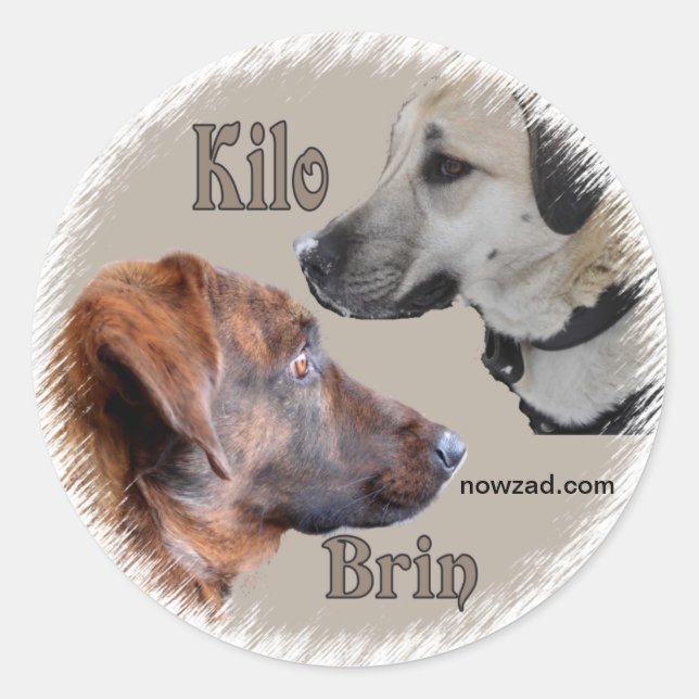 Adesivo Redondo Nowzad Rescut Dogs Brin & Kilo Sticker (Frente)