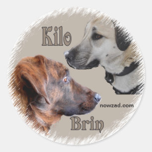 Adesivo Redondo Nowzad Rescut Dogs Brin & Kilo Sticker
