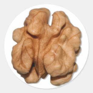 Adesivo Redondo Noz