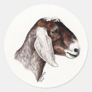 Adesivo Redondo Nubian Goat Art Sticker