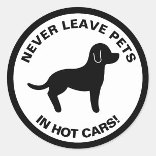 Adesivo Redondo Nunca Deixe Pets Em Carros Quentes Texto E Desenho