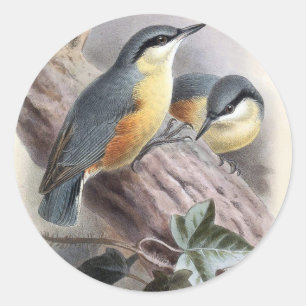 Adesivo Redondo Nuthatch