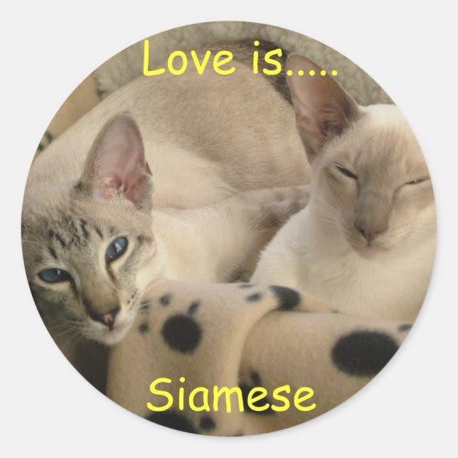 Adesivo Redondo O amor é....., Siamese (Frente)