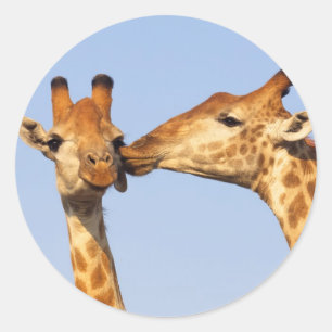 Adesivo Redondo O beijo