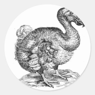 Adesivo Redondo O Dodo
