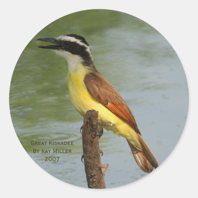 Adesivo Redondo O Excelente Kiskadee (Frente)