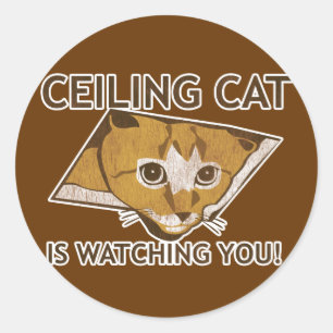 Adesivo Redondo O gato de Celing está olhando-o!