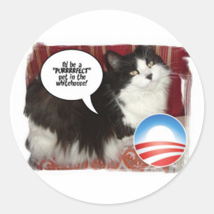 Adesivo Redondo O Gato de Gatinho Pet Whitehouse