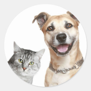 Adesivo Redondo O gato e o cão dizem Hey