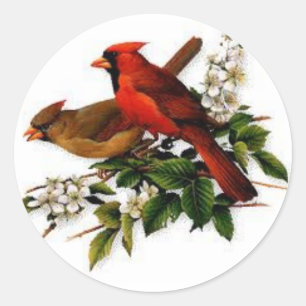 Adesivo Redondo O homem e o cardeal fêmea em uma florescência