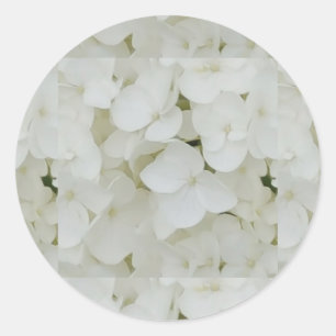 Adesivo Redondo O Hydrangea floresce a flor elegante branca floral