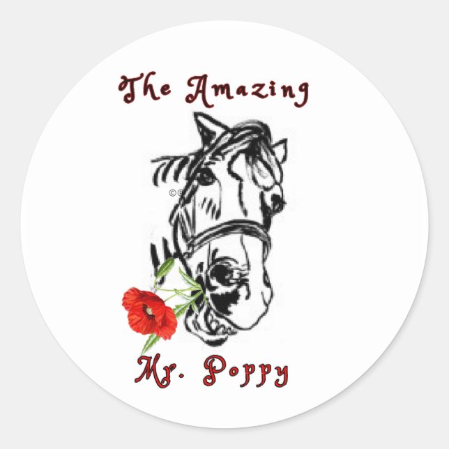 Adesivo Redondo o incrível MR POPPY (Frente)