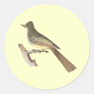 Adesivo Redondo O Kingbird Excelente-com crista (crinitus do