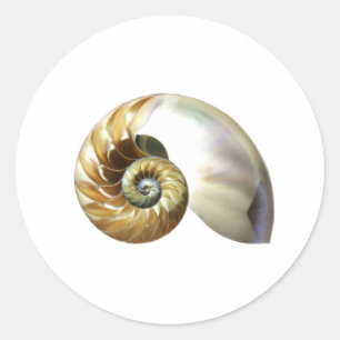 Adesivo Redondo O Nautilus Shell