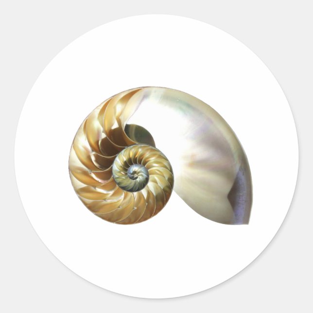 Adesivo Redondo O Nautilus Shell (Frente)