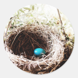 Adesivo Redondo O Ninho de Robin