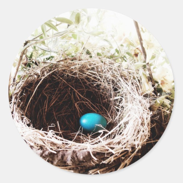 Adesivo Redondo O Ninho de Robin (Frente)
