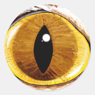 Adesivo Redondo O olho de gato pintado