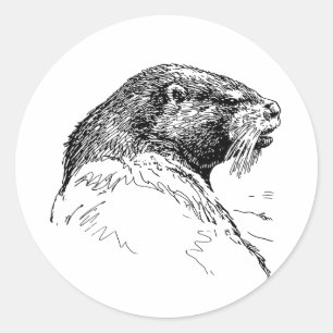 ADESIVO REDONDO O OTTER