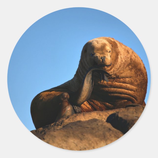 Adesivo Redondo O Pensador (Frente)