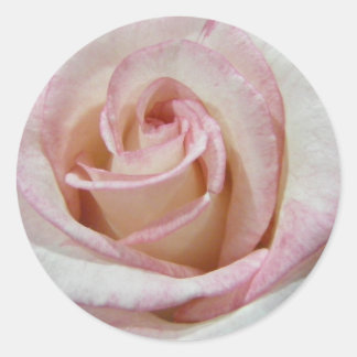 Adesivo Redondo O primeiro Rosa do amor