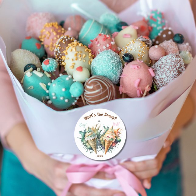 Adesivo Redondo O que é o Partido de Revelação de Gênero da Coluna (Criador carregado)