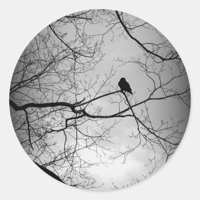 Adesivo Redondo O Raven (Frente)