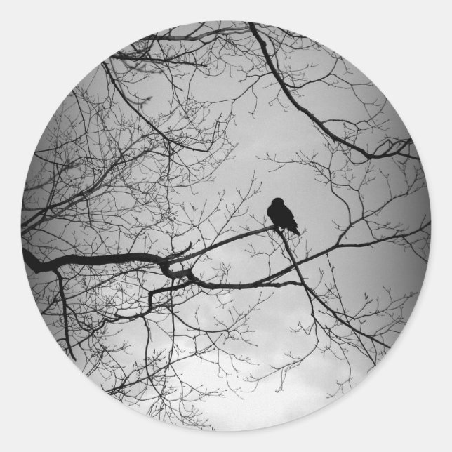 Adesivo Redondo O Raven (Frente)