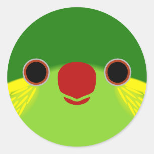 Adesivo Redondo O rosto de uma fêmea de loriquieto de flanqueado v