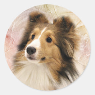 Adesivo Redondo O Sable Sheltie enfrenta