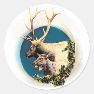 Adesivo Redondo O Stag e o Hind